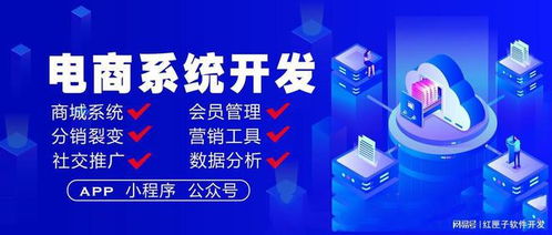 電商平臺(tái)系統(tǒng)開(kāi)發(fā) 電商軟件定制方案